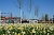 Die Landesgartenschau in Leinefelde-Worbis lockt mit einem besonderen Angebot zum M&auml;nnertag.