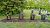 Die sanierten Gedenksteine wurden auf dem Friedhof in Kleinberndten aufgestellt.